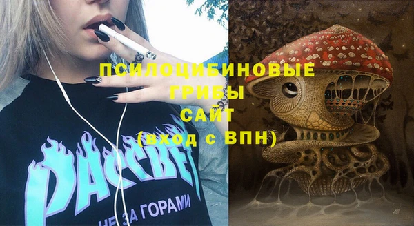 МДПВ Волоколамск